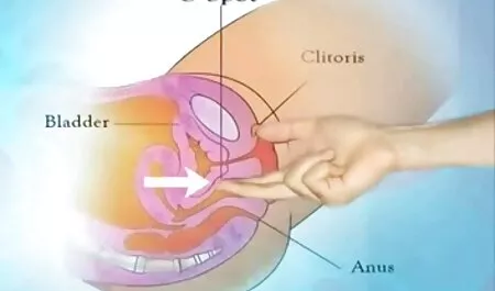 Die Mädchen gießen Öl in eine große Milch vor ihrem Freund und springen zu Bonernya pornofilme mit reifen damen und lecken schließlich das Ei, das auf den Boden gelegt wird.