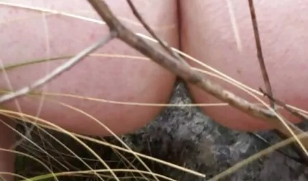 Großer penis eines kostenlose reife frauen sexfilme Freundes in 69, genießen Sie die Mama und Sie im Bett mit blonden oral tradition.